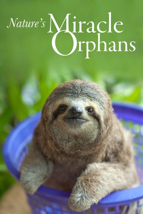 Nature's Miracle Orphans (2014) TV show poster