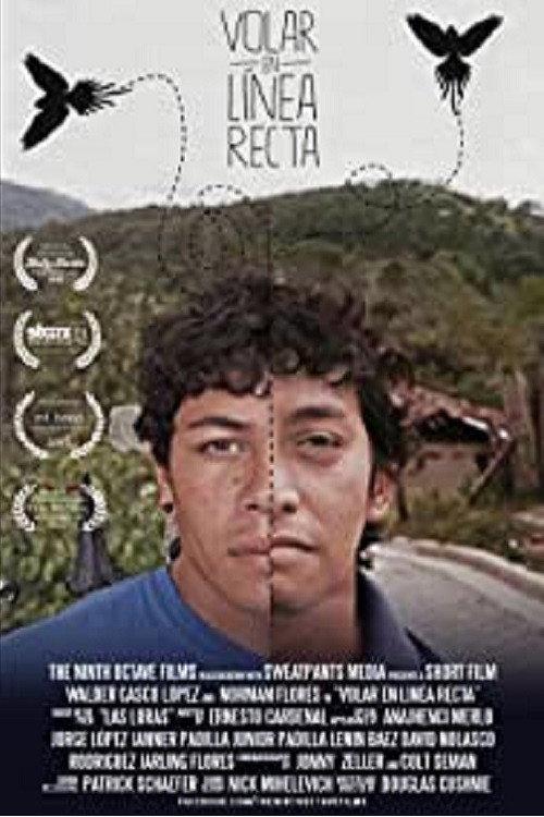 To Fly in a Straight Line (2013) movie poster