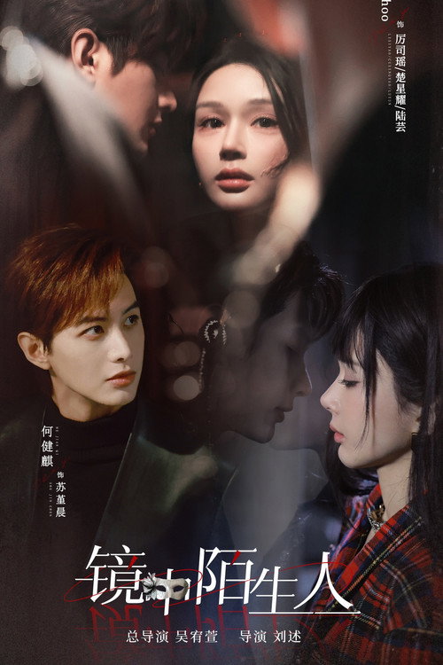 The Stranger in the Mirror (2025) TV show poster