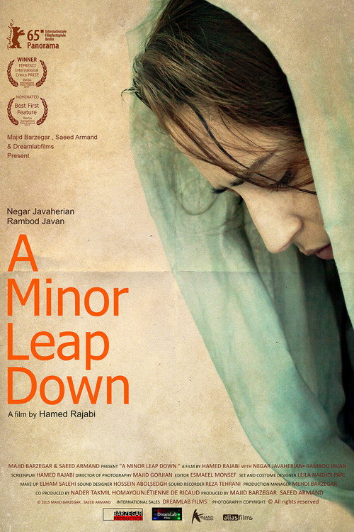 A Minor Leap Down (2015) movie poster