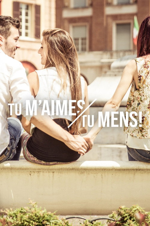 Tu m’aimes, tu mens ! (2016) TV show poster