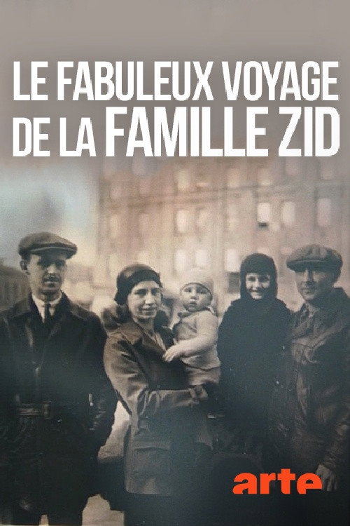 Die unglaubliche Reise der Familie Zid (2013) movie poster