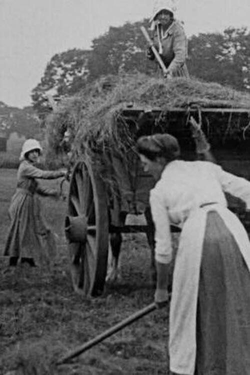 Women Hay Makers (1916) movie poster