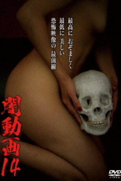 Tokyo Videos of Horror 14 (2016) movie poster