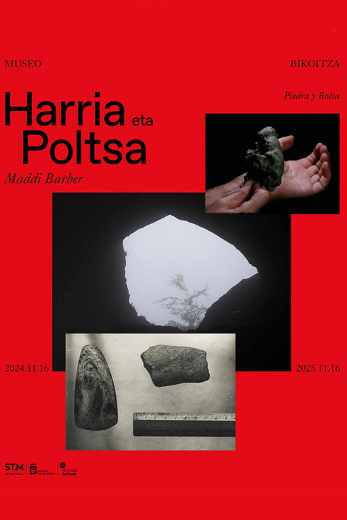 Stone and bag (2024) movie poster