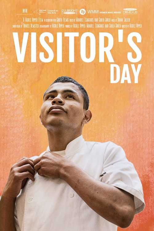 Visitor's Day (2017) movie poster