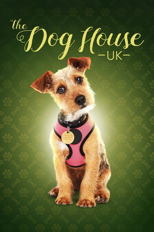 The Dog House (2019) TV show poster
