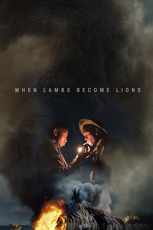 When Lambs Become Lions (2018) movie poster
