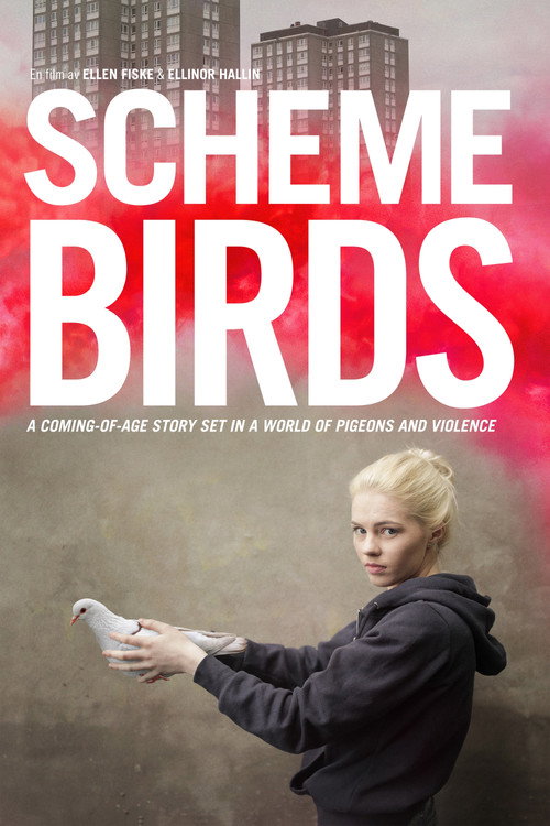 Scheme Birds (2019) movie poster