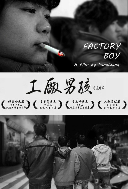 Factory Boy (2014) movie poster