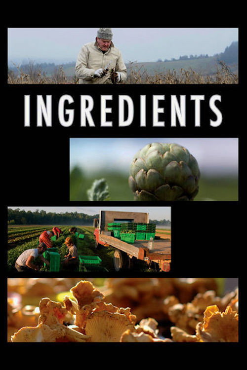 Ingredients (2009) movie poster