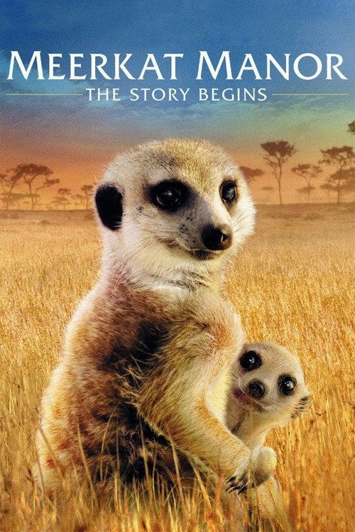 Meerkat Manor: The Story Begins (2008) movie poster
