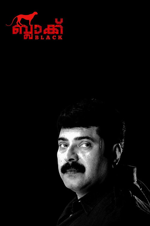 Black (2004) movie poster