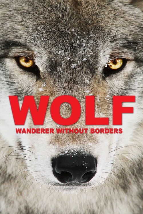 Wolf: Wanderer Without Borders (2022) movie poster
