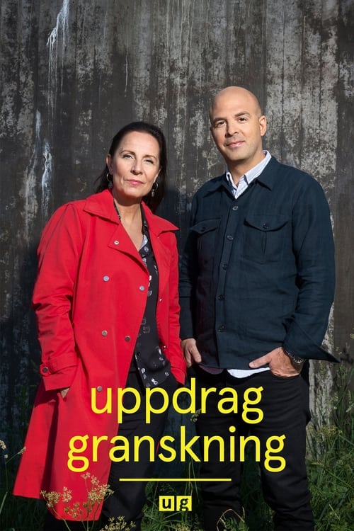 Uppdrag granskning (2001) TV show poster