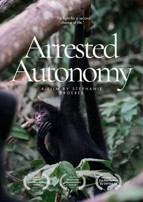 Arrested Autonomy (2025) movie poster