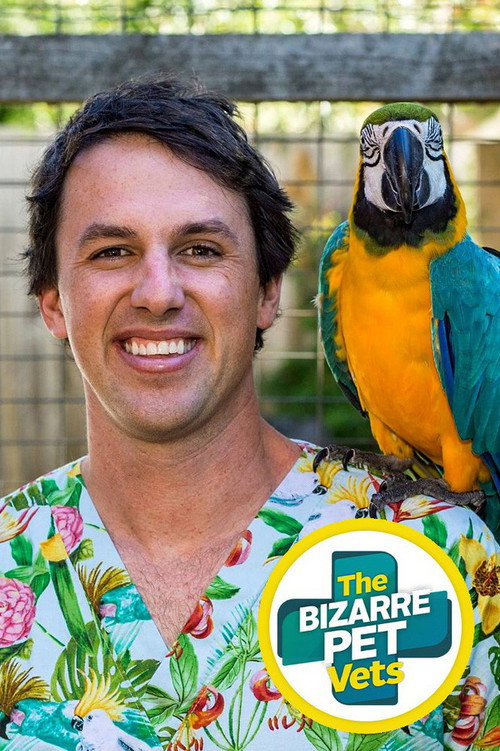 The Bizarre Pet Vets (2022) TV show poster