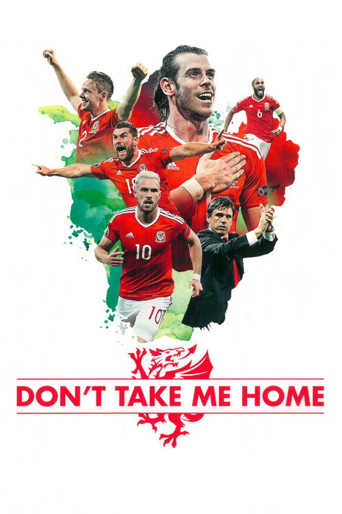 Don't Take Me Home (2017) movie poster