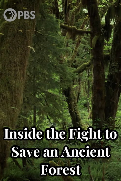 Inside the Fight to Save an Ancient Forest (and the Secrets it Holds) (2021) movie poster