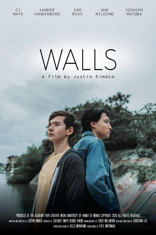 Walls (2020) movie poster