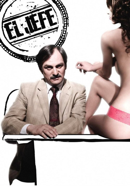 The Boss (2011) movie poster
