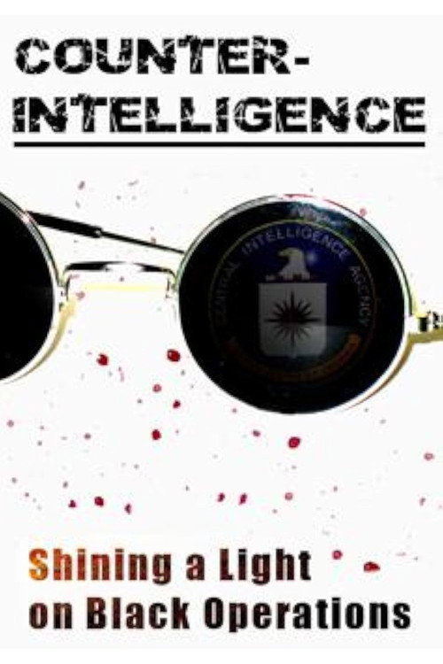 Counter-Intelligence (2013) TV show poster