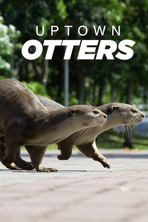 Uptown Otters (2022) TV show poster