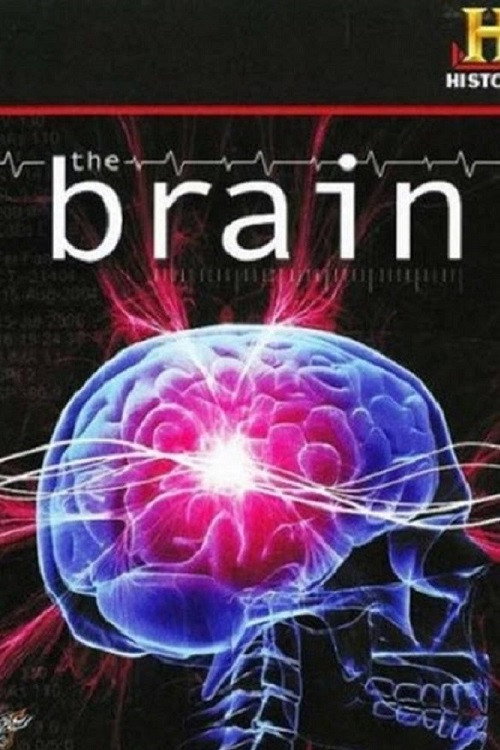 The Brain (2008) movie poster