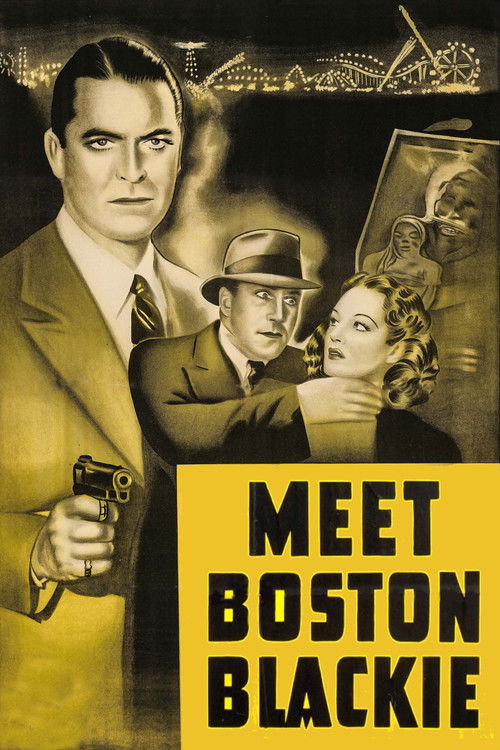 Meet Boston Blackie (1941) movie poster