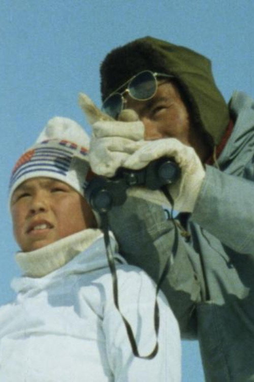 Kaali Goes for Seal Hunting (1985) movie poster