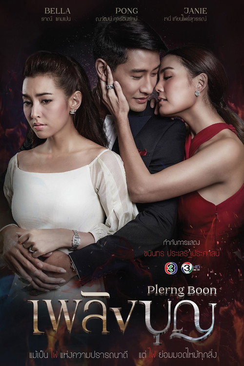 The Fire of Virtue (2017) TV show poster