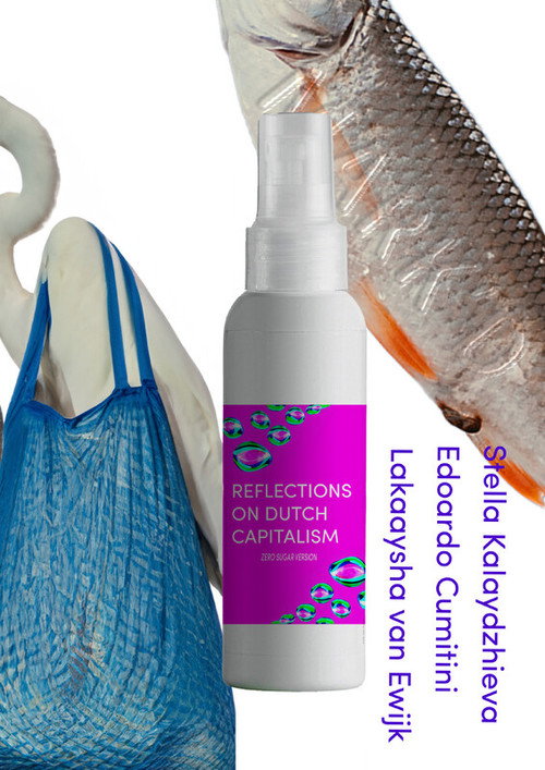 Reflections on Dutch Capitalism; Zero Sugar version (2021) movie poster
