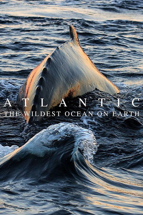 Atlantic: The Wildest Ocean on Earth (2015) TV show poster