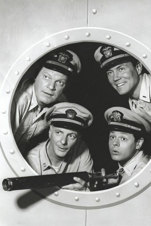 Mister Roberts (1965) TV show poster