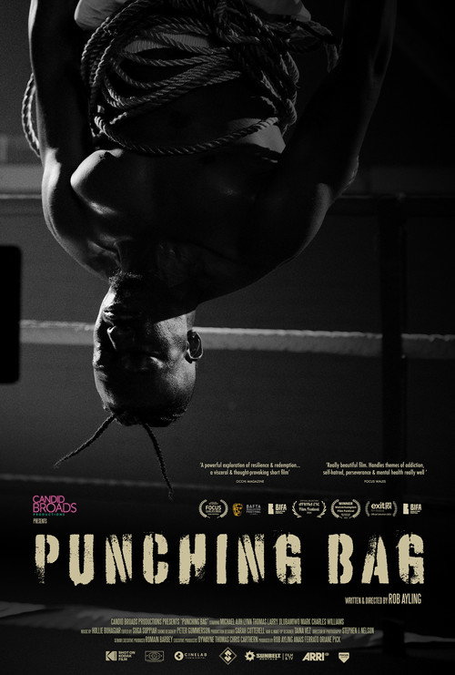 Punching Bag (2025) movie poster
