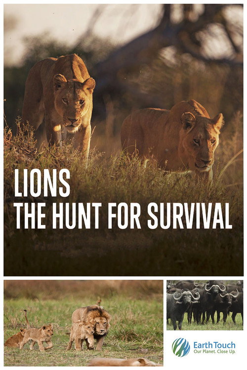 Lions: The Hunt for Survival (2021) movie poster