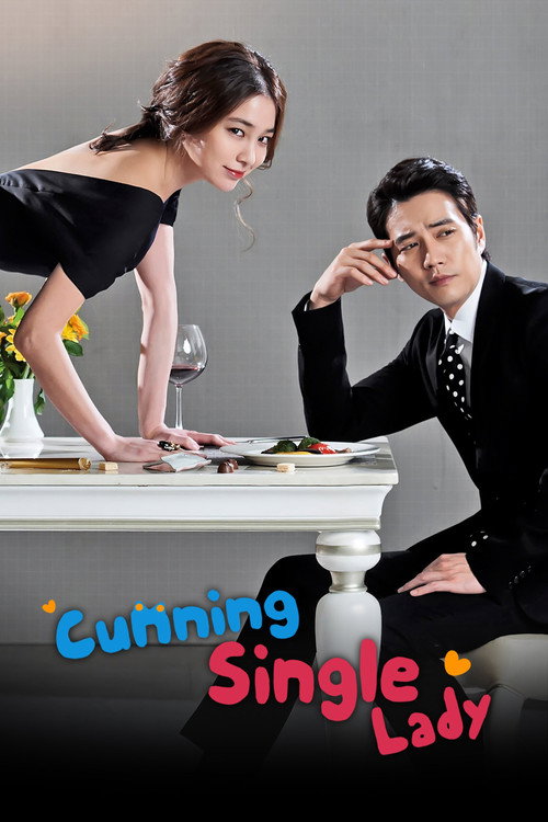 Cunning Single Lady (2014) TV show poster