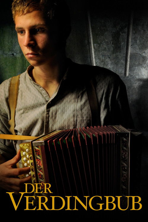 The Foster Boy (2011) movie poster