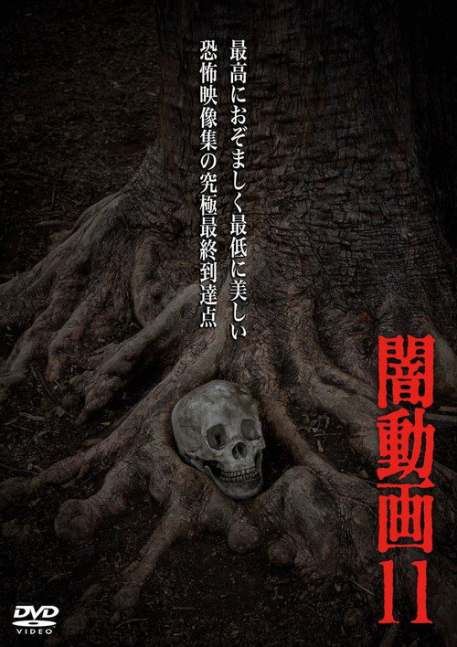 Tokyo Videos of Horror 11 (2014) movie poster