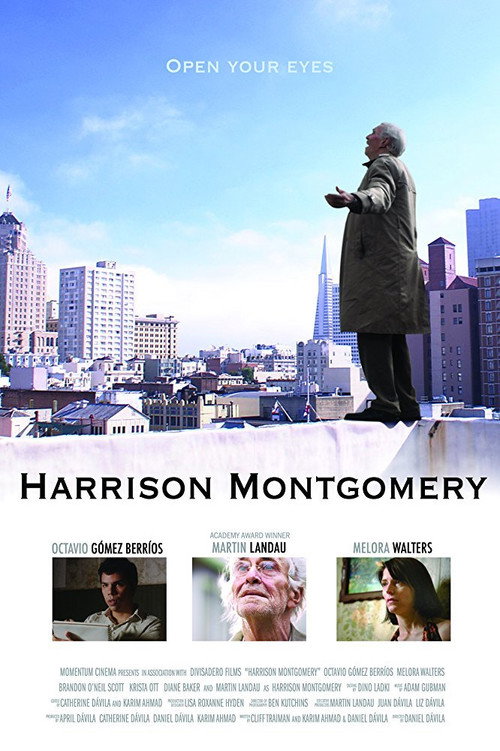 Harrison Montgomery (2008) movie poster