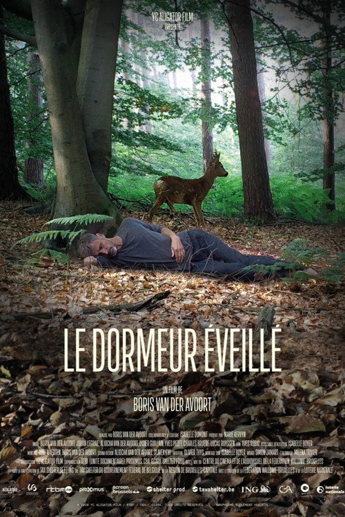 The Wakeful Sleeper (2021) movie poster