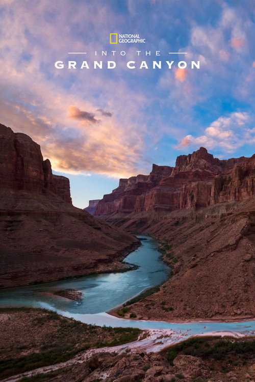 Into the Grand Canyon (2019) movie poster