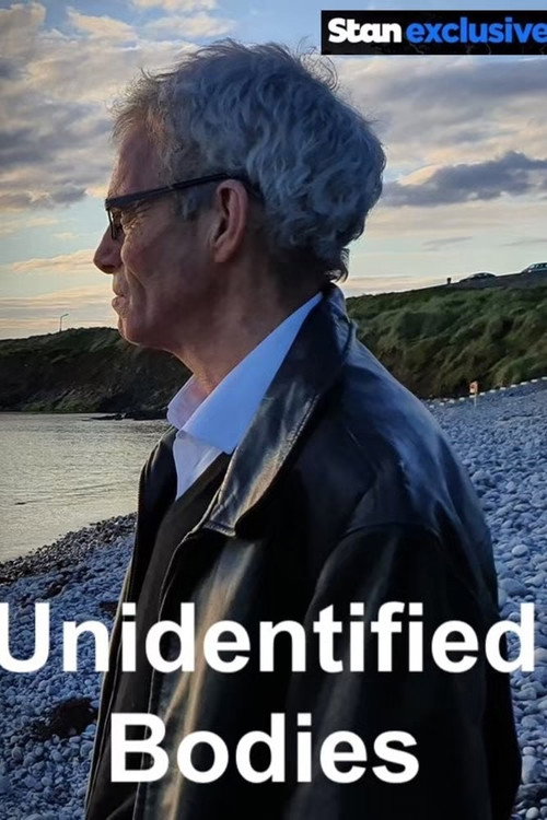 Ireland's Unidentified Bodies (2021) TV show poster