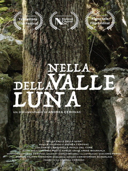 Nella Valle della Luna (2026) movie poster