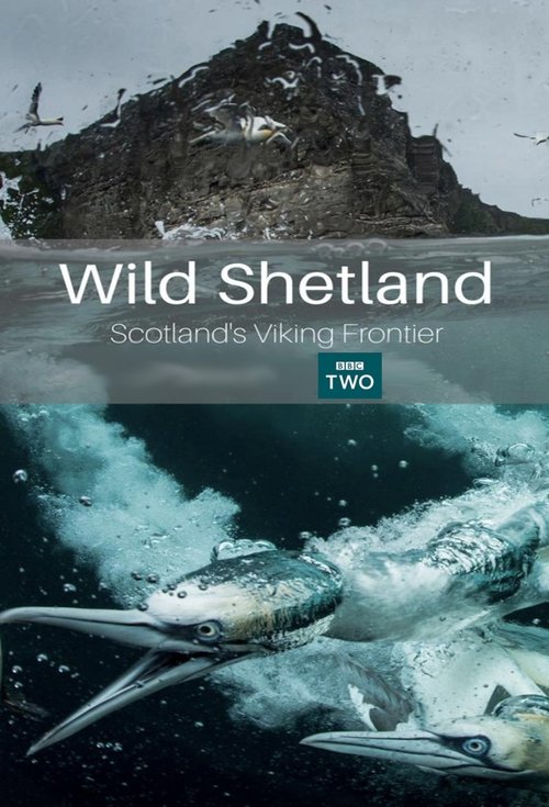 Wild Shetland: Scotland's Viking Frontier (2019) movie poster