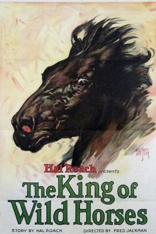 The King of the Wild Horses (1924) movie poster
