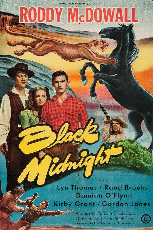 Black Midnight (1949) movie poster