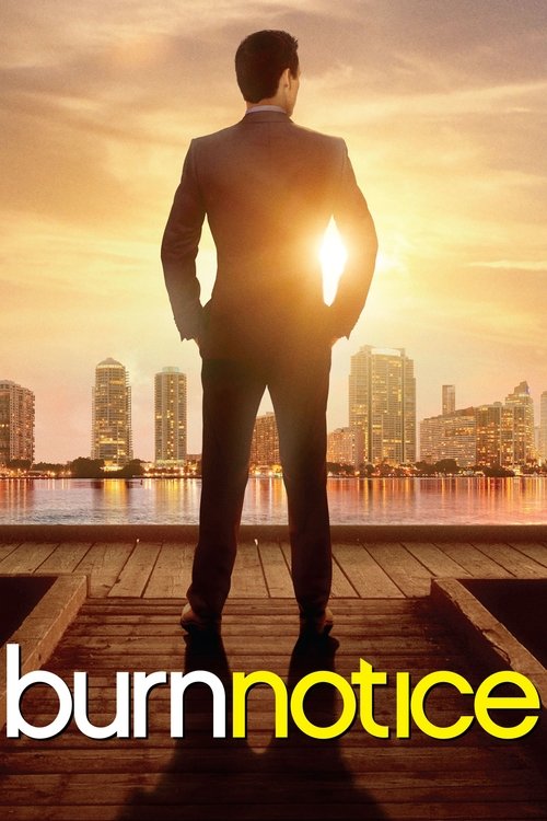 Burn Notice (2007) TV show poster