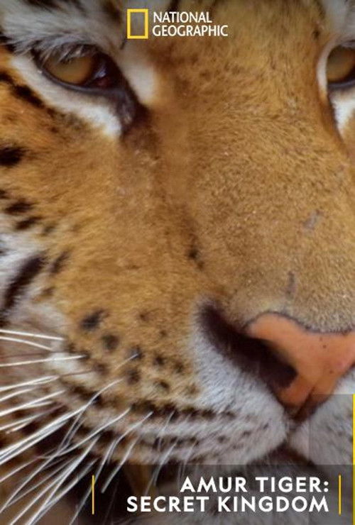 Siberian Tiger, The Secret Kingdom (2023) movie poster