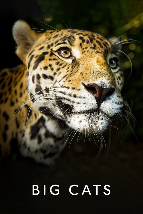 Big Cats (2018) TV show poster